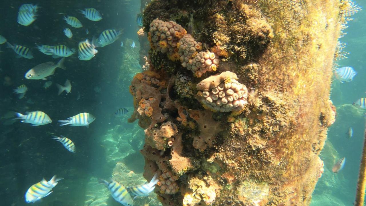 Pousada Conves - Ilha Grande Praia de Araçatiba Εξωτερικό φωτογραφία