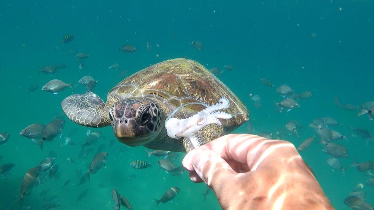 Pousada Conves - Ilha Grande Praia de Araçatiba Εξωτερικό φωτογραφία